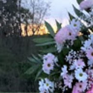 Meet your Posher, Gigi